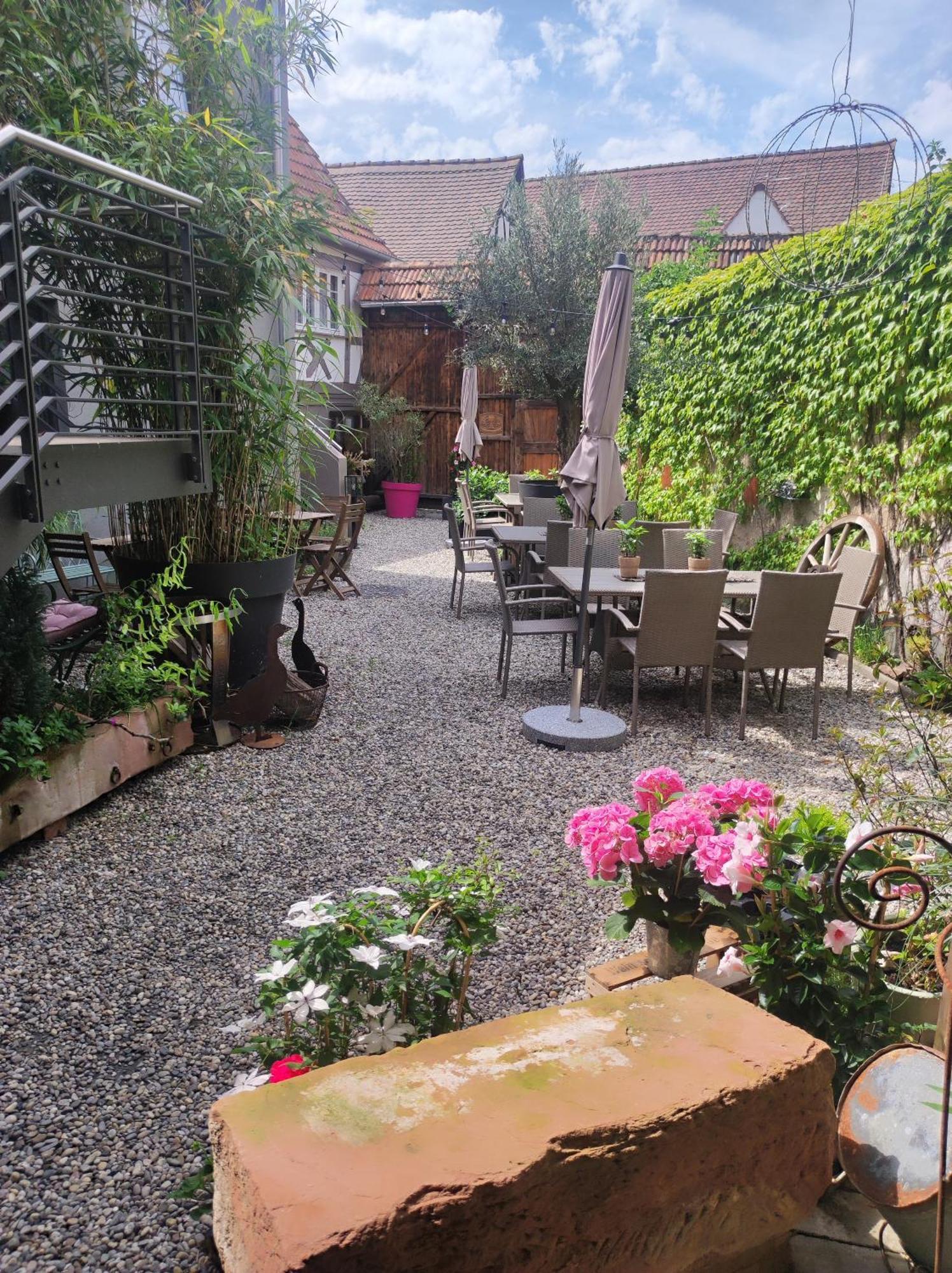 Hofgarten Rosa Ilbesheim bei Landau in der Pfalz Eksteriør bilde