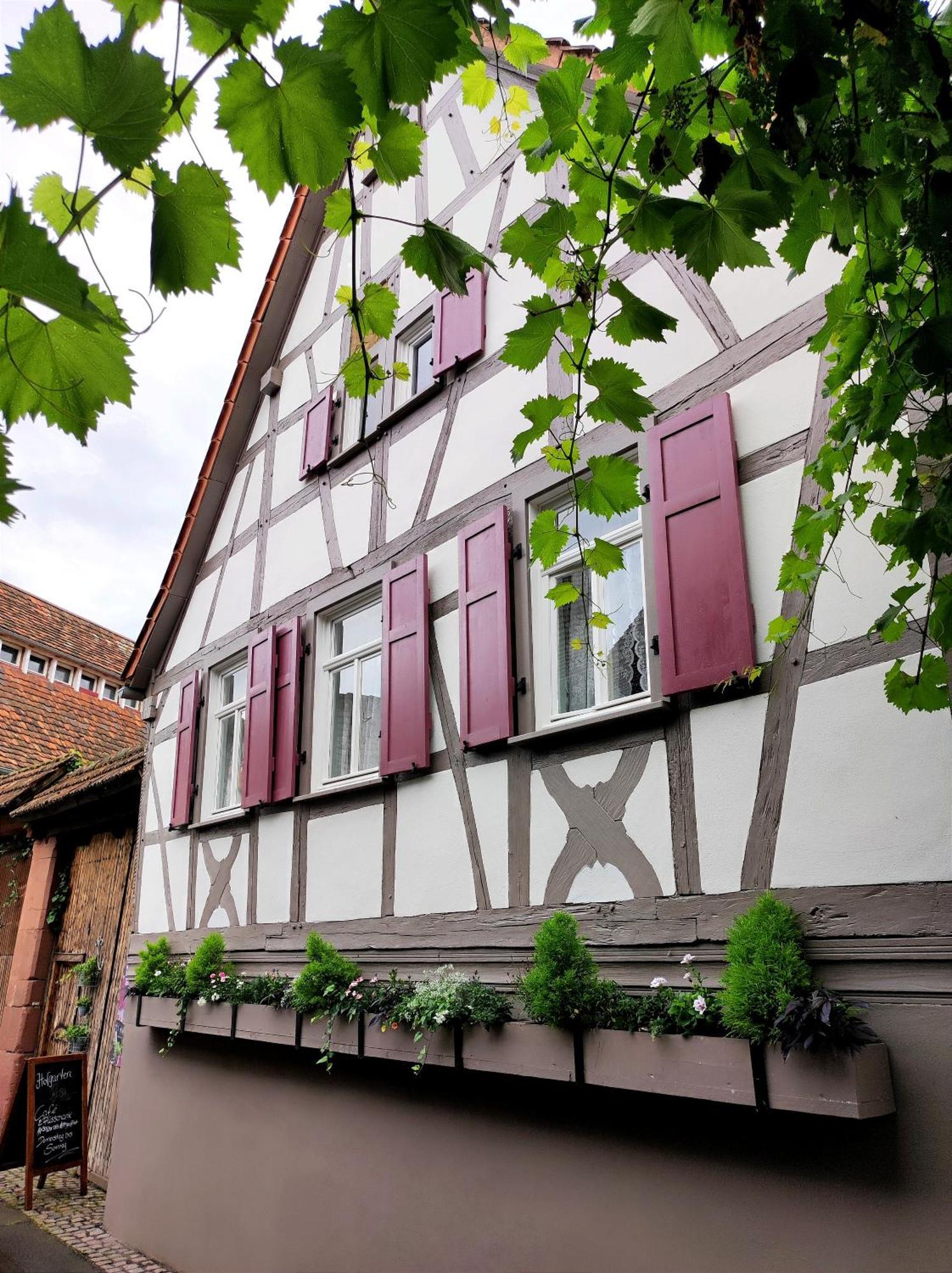 Hofgarten Rosa Ilbesheim bei Landau in der Pfalz Eksteriør bilde