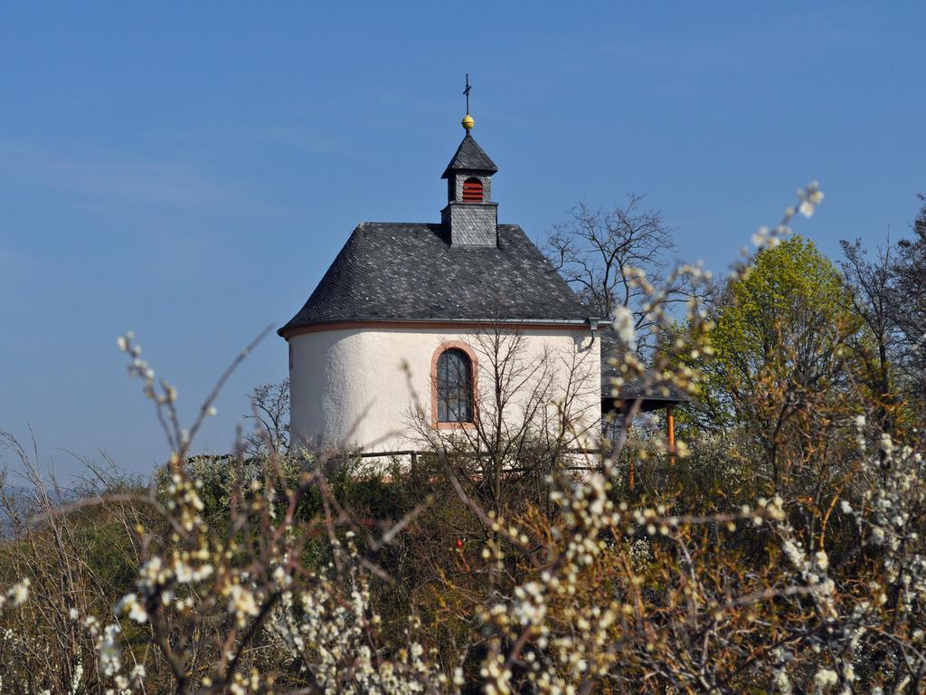 Hofgarten Rosa Ilbesheim bei Landau in der Pfalz Eksteriør bilde